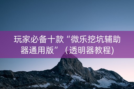 玩家必备十款“微乐挖坑辅助器通用版”（透明器教程)