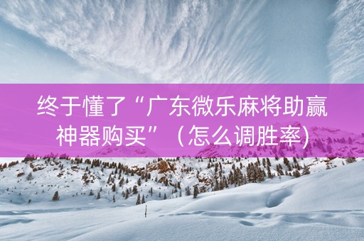 终于懂了“广东微乐麻将助赢神器购买”（怎么调胜率)