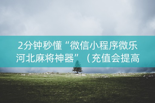 2分钟秒懂“微信小程序微乐河北麻将神器”（充值会提高胜率么)