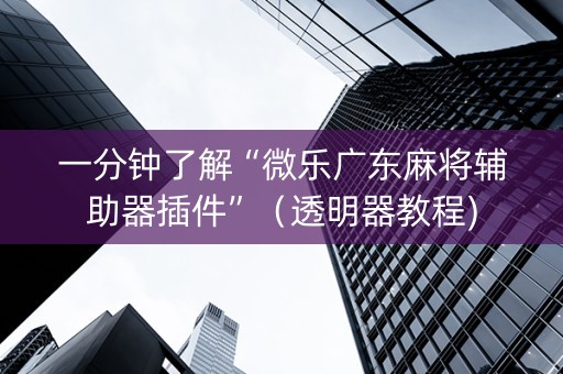 一分钟了解“微乐广东麻将辅助器插件”（透明器教程)