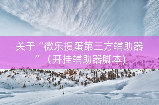关于“微乐掼蛋第三方辅助器”（开挂辅助器脚本)