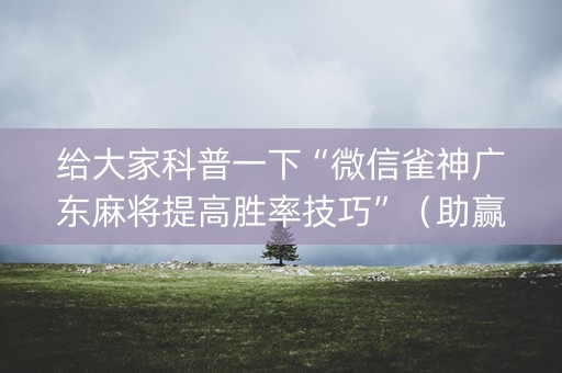 给大家科普一下“微信雀神广东麻将提高胜率技巧”（助赢神器购买)