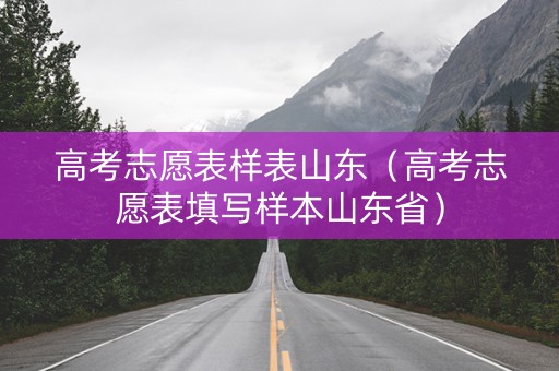 高考志愿表样表山东（高考志愿表填写样本山东省）