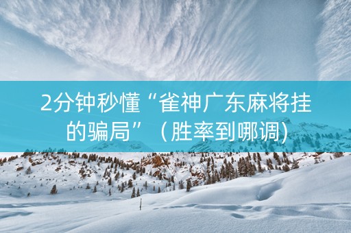 2分钟秒懂“雀神广东麻将挂的骗局”（胜率到哪调)