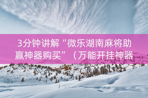 3分钟讲解“微乐湖南麻将助赢神器购买”（万能开挂神器)