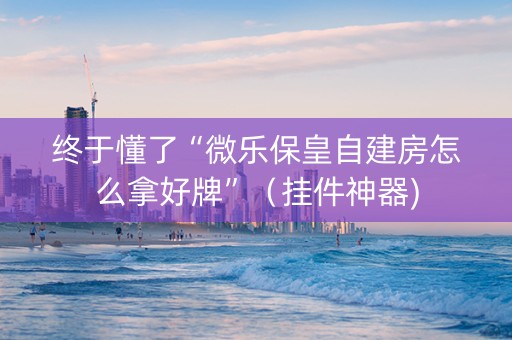 终于懂了“微乐保皇自建房怎么拿好牌”（挂件神器)