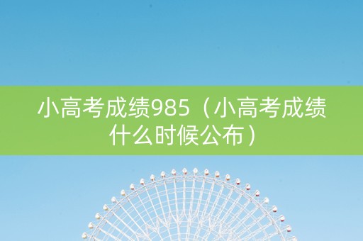 小高考成绩985（小高考成绩什么时候公布）