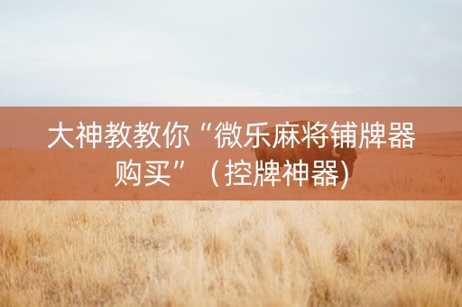 大神教教你“微乐麻将铺牌器购买”（控牌神器)