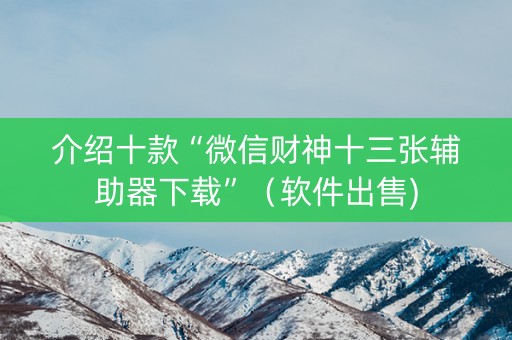 介绍十款“微信财神十三张辅助器下载”（软件出售)