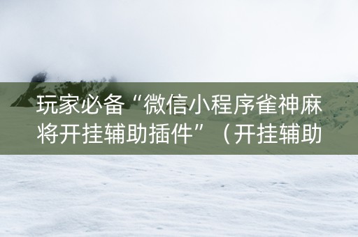 玩家必备“微信小程序雀神麻将开挂辅助插件”（开挂辅助器插件)