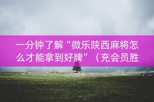 一分钟了解“微乐陕西麻将怎么才能拿到好牌”（充会员胜率高)