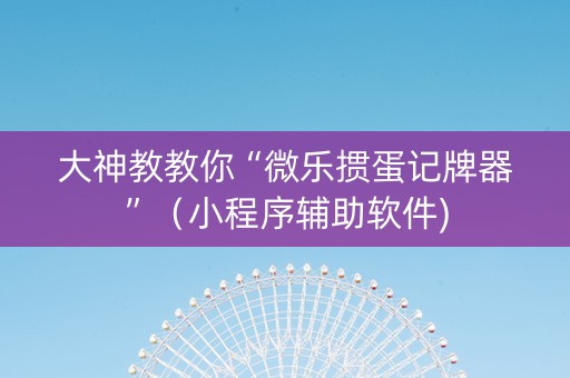 大神教教你“微乐掼蛋记牌器”（小程序辅助软件)