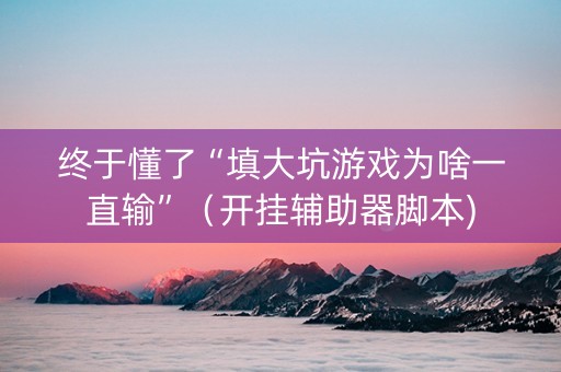 终于懂了“填大坑游戏为啥一直输”（开挂辅助器脚本)