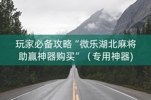 玩家必备攻略“微乐湖北麻将助赢神器购买”（专用神器)