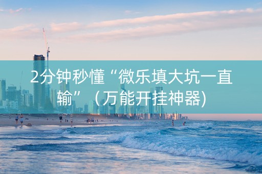 2分钟秒懂“微乐填大坑一直输”（万能开挂神器)