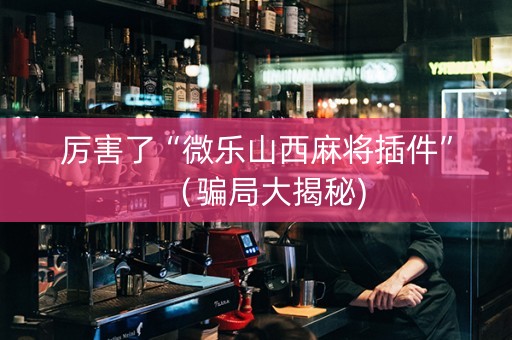 厉害了“微乐山西麻将插件”（骗局大揭秘)