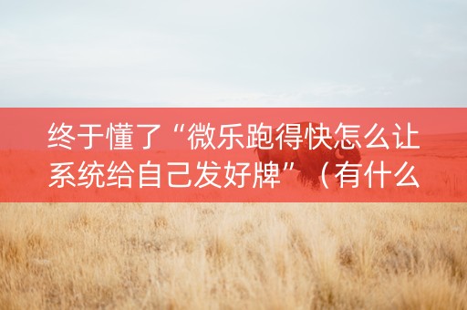 终于懂了“微乐跑得快怎么让系统给自己发好牌”（有什么规律)