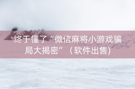 终于懂了“微信麻将小游戏骗局大揭密”（软件出售)