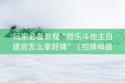 玩家必备教程“微乐斗地主自建房怎么拿好牌”（控牌神器)