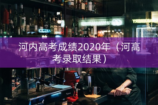 河内高考成绩2020年（河高考录取结果）