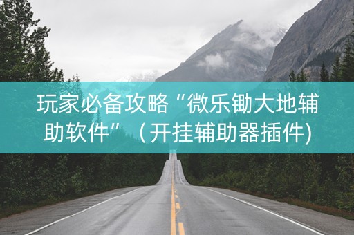 玩家必备攻略“微乐锄大地辅助软件”（开挂辅助器插件)
