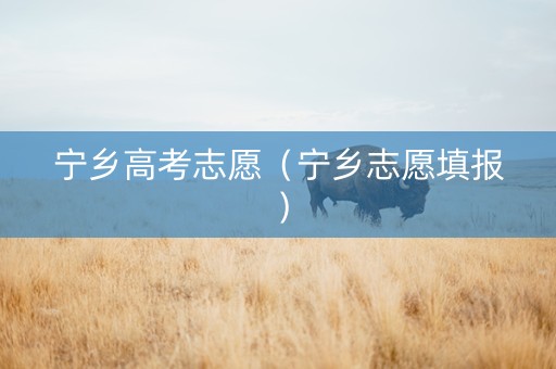 宁乡高考志愿（宁乡志愿填报）