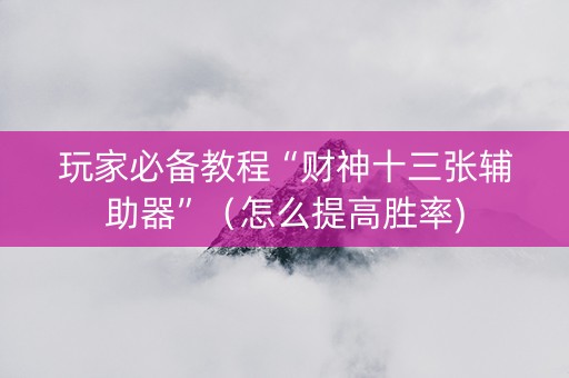 玩家必备教程“财神十三张辅助器”（怎么提高胜率)