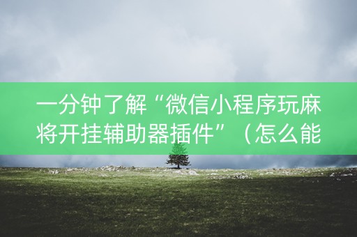 一分钟了解“微信小程序玩麻将开挂辅助器插件”（怎么能得到好牌)