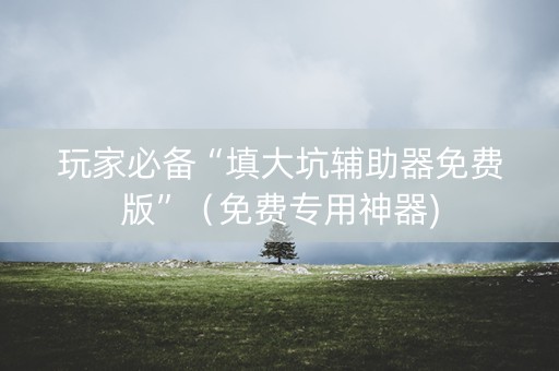 玩家必备“填大坑辅助器免费版”（免费专用神器)