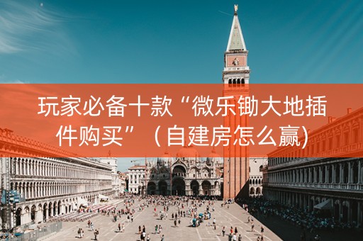 玩家必备十款“微乐锄大地插件购买”（自建房怎么赢)