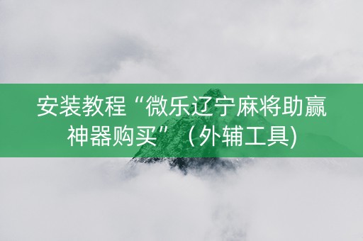 安装教程“微乐辽宁麻将助赢神器购买”（外辅工具)