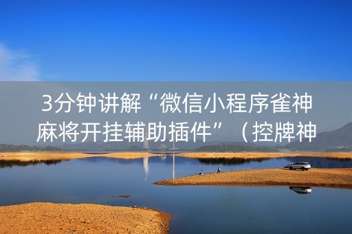 3分钟讲解“微信小程序雀神麻将开挂辅助插件”（控牌神器)