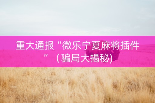 重大通报“微乐宁夏麻将插件”（骗局大揭秘)