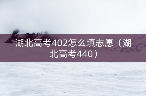湖北高考402怎么填志愿（湖北高考440）