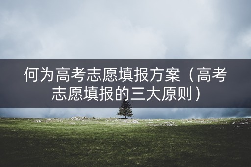 何为高考志愿填报方案（高考志愿填报的三大原则）