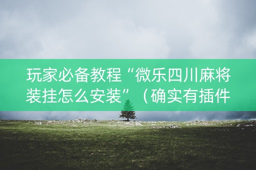 玩家必备教程“微乐四川麻将装挂怎么安装”（确实有插件吗)