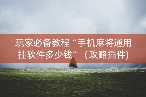 玩家必备教程“手机麻将通用挂软件多少钱”（攻略插件)
