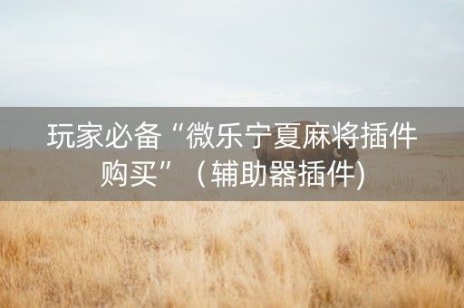 玩家必备“微乐宁夏麻将插件购买”（辅助器插件)