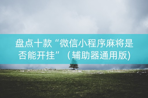 盘点十款“微信小程序麻将是否能开挂”（辅助器通用版)