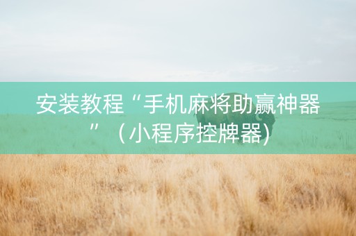 安装教程“手机麻将助赢神器”（小程序控牌器)