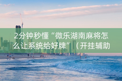 2分钟秒懂“微乐湖南麻将怎么让系统给好牌”（开挂辅助器插件)