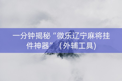 一分钟揭秘“微乐辽宁麻将挂件神器”（外辅工具)