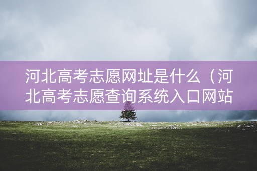 河北高考志愿网址是什么（河北高考志愿查询系统入口网站）