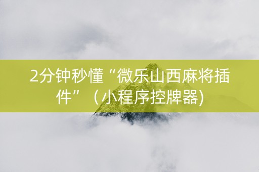 2分钟秒懂“微乐山西麻将插件”（小程序控牌器)