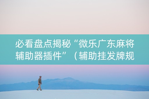必看盘点揭秘“微乐广东麻将辅助器插件”（辅助挂发牌规律)