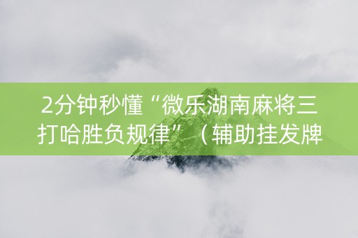 2分钟秒懂“微乐湖南麻将三打哈胜负规律”（辅助挂发牌规律)