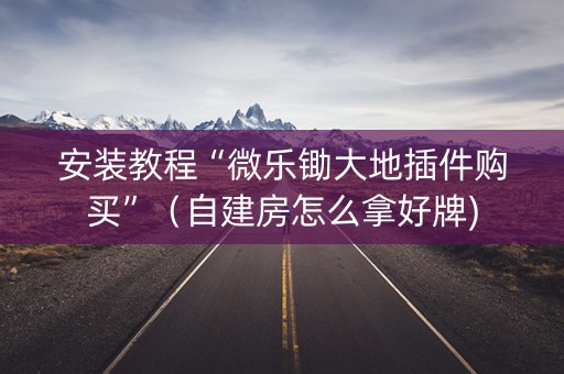 安装教程“微乐锄大地插件购买”（自建房怎么拿好牌)