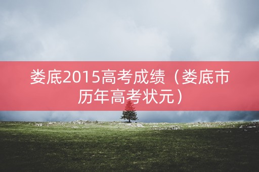 娄底2015高考成绩（娄底市历年高考状元）