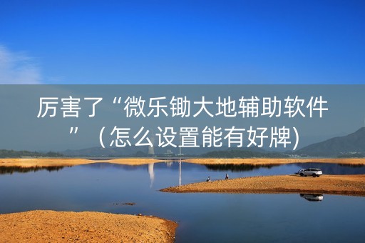 厉害了“微乐锄大地辅助软件”（怎么设置能有好牌)