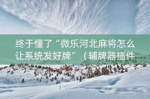 终于懂了“微乐河北麻将怎么让系统发好牌”（辅牌器插件购买)